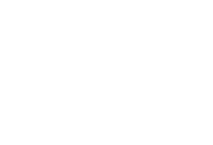 logotipo blanco